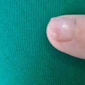 Photo submitted by susan