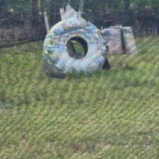 Photo submitted by Joshua