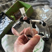 Photo submitted by Jennifer