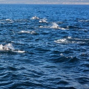 Photo submitted by arul