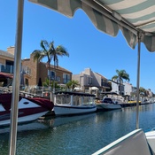 Photo submitted by Frances