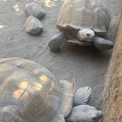 Photo submitted by Tory