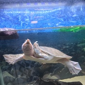 Photo submitted by Chloa