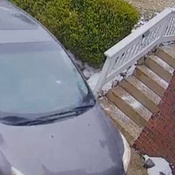 Photo submitted by Trevis