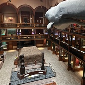 Photo submitted by KIMBERLY