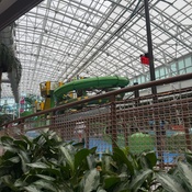 Photo submitted by Yung