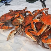 Photo submitted by Lara