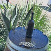 Photo submitted by Guest