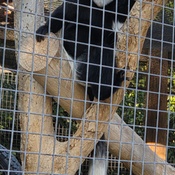 Photo submitted by Cathy