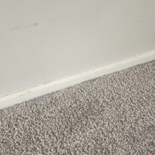 Photo submitted by Tiona