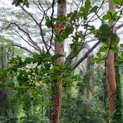 Photo submitted by Zachary