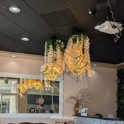 Photo submitted by Minta