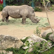 Photo submitted by Jaressia