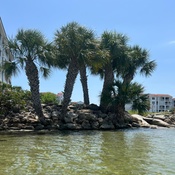 Photo submitted by Tamara