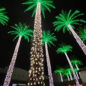 Photo submitted by Amy