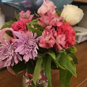 Photo submitted by Amy