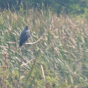 Photo submitted by Diane