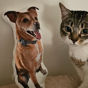 Photo submitted by lauren