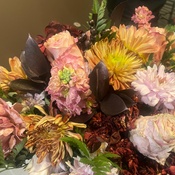 Photo submitted by Hannah