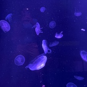 Photo submitted by Amanda