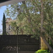 Photo submitted by Mary