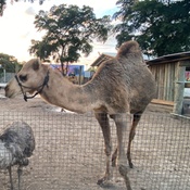 Photo submitted by Jessica