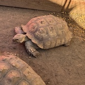 Photo submitted by Jasmin