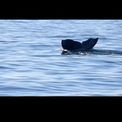 Photo submitted by Alexandria