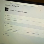 Photo submitted by janie