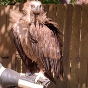 Photo submitted by Vera