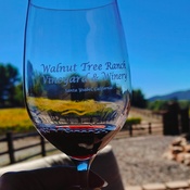 Photo submitted by Teresa