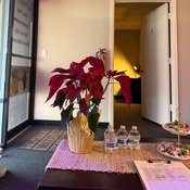 Photo submitted by Emily