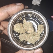 Photo submitted by Guest