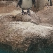 Photo submitted by MARYANNE