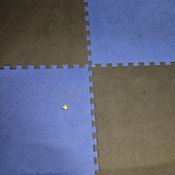 Photo submitted by Cathi