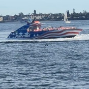 Photo submitted by Brandee