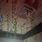 Photo submitted by brittany