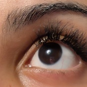 Photo submitted by Tabitha