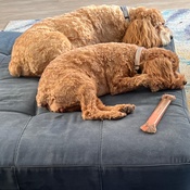 Photo submitted by Maria