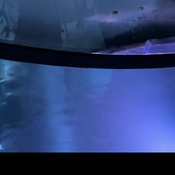 Photo submitted by Josephine