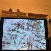 Photo submitted by nicholle