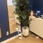 Photo submitted by Leeann