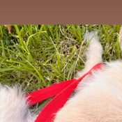 Photo submitted by Karina