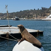 Photo submitted by Norra