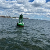 Photo submitted by cynthia