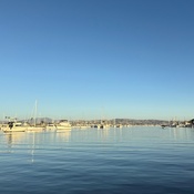 Photo submitted by Guest