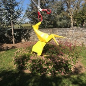 Photo submitted by Kim