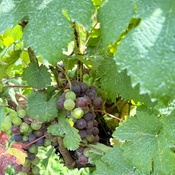 Photo submitted by Evette