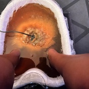 Photo submitted by Robin