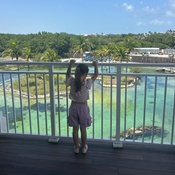 Photo submitted by Sandy